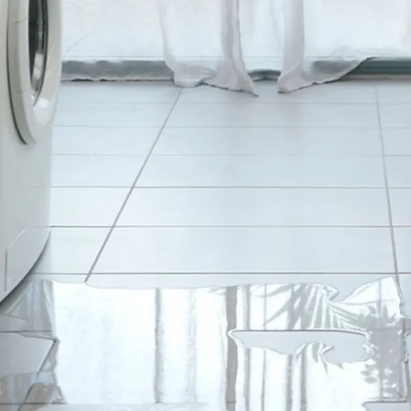 Appliance Leak Cleanup in Cowarts, AL