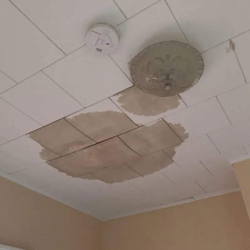 Ceiling Water Damage Repair in Cowarts, AL