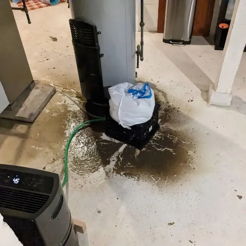 Sewage Backup Cleanup Service in Cowarts, AL